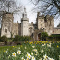 7571   Cardiff Castle and the Barbican tower